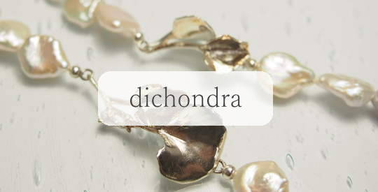 dichondra